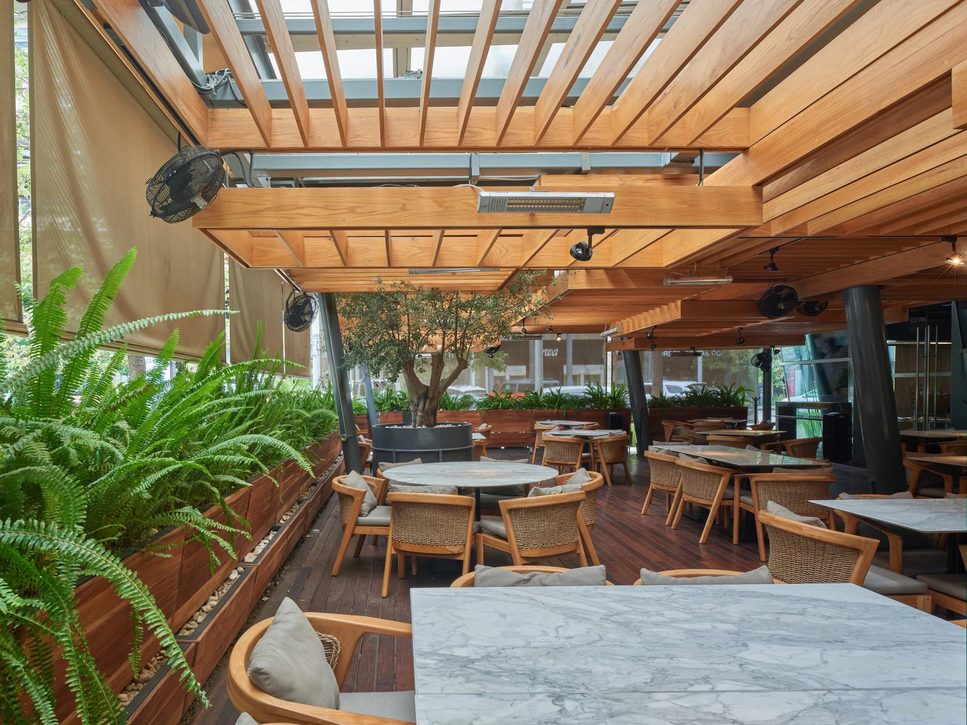 Terraza Pangea — fotografía 3